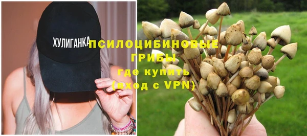 ECSTASY Алексин