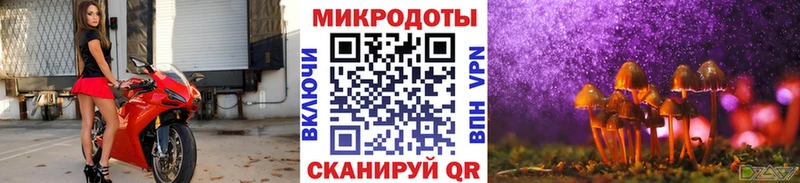 Галлюциногенные грибы Cubensis  Сорочинск 